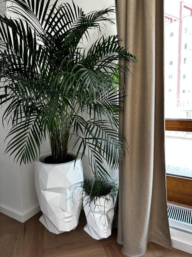 Luxury Penthouse At The Historical Centre With Free Parking Bratislava Exterior foto
